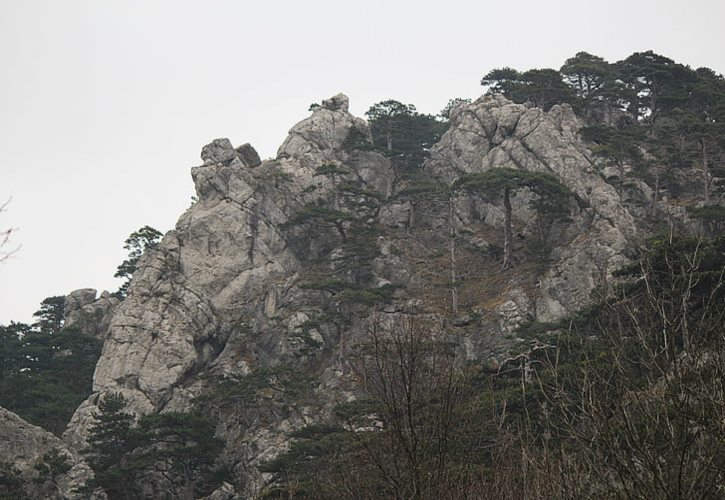 明朝国土面积变化 明朝实际控制领土