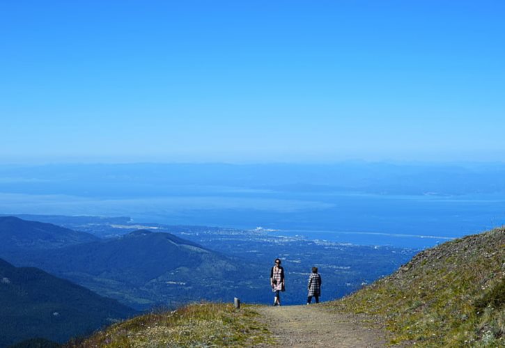 安禄山 安禄山反叛的原因