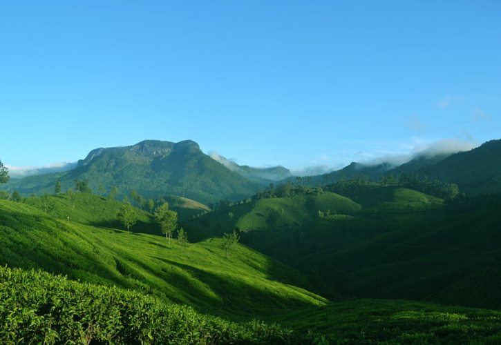 爹水儿还要 宝贝你流了好多水