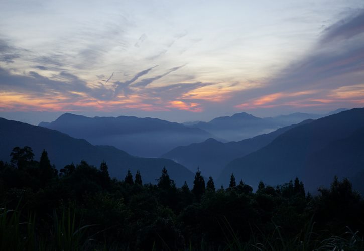 土豆出现在哪个朝代 四川一年种几次土豆