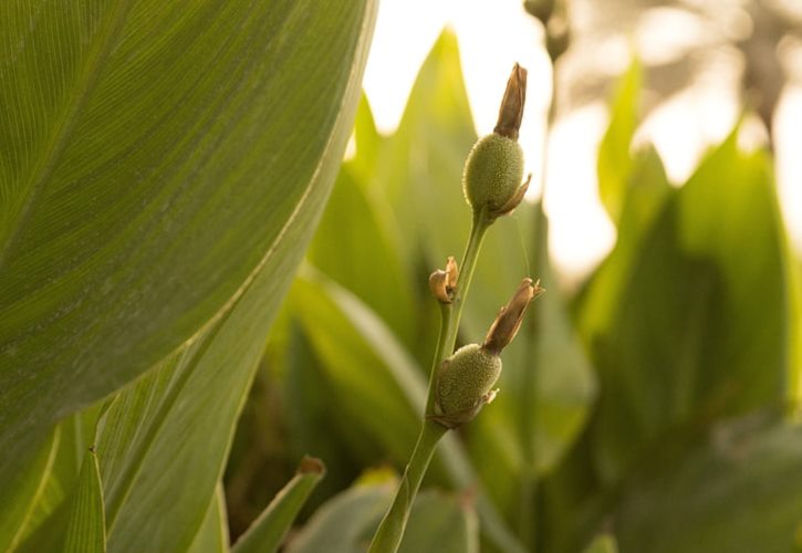 三品以上是什么官 正三品现在什么级别