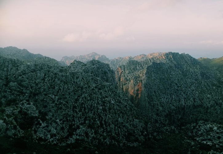 猫屎咖啡贵还是星巴克咖啡贵