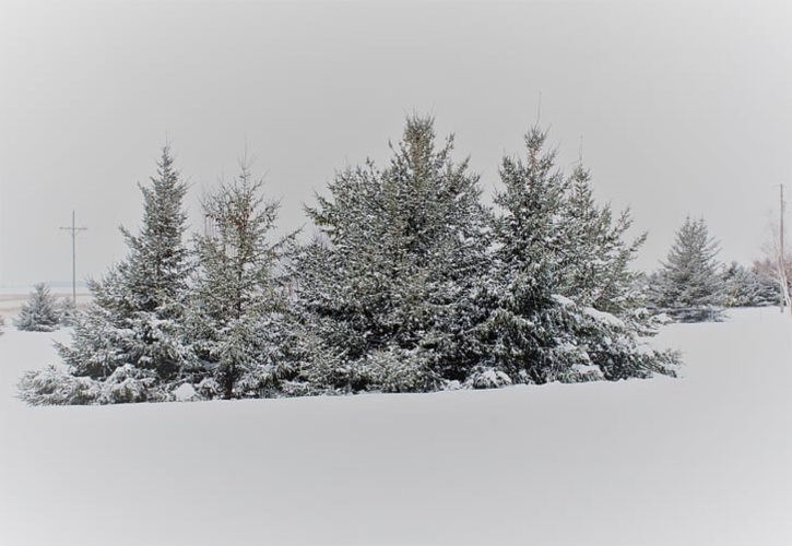 滑雪板长度和身高 单板滑雪板长度怎么选