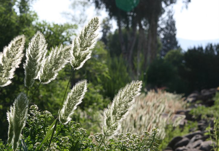 秦始皇三大水利工程 秦始皇六大伟大工程