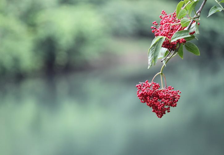 山海经细思极恐的细节