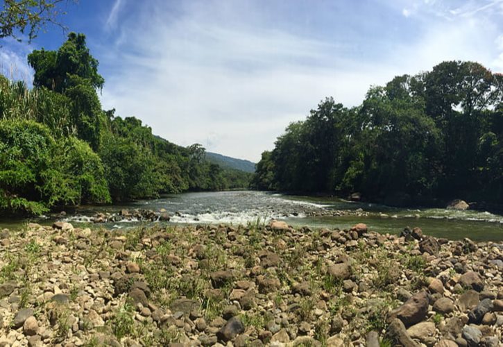 杨再兴大战岳飞 岳飞打得过杨再兴吗