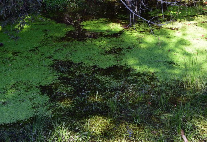 新疆最大的淡水湖是 青海湖最深处有多少米