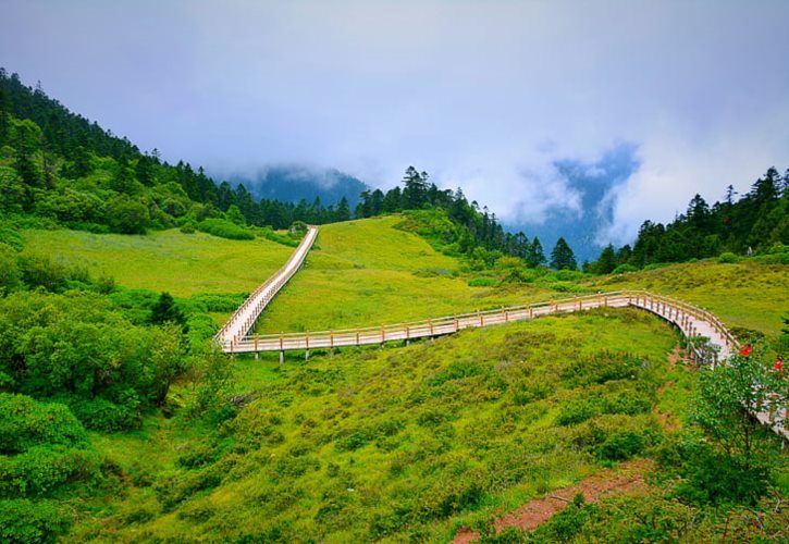 拉丁文明和玛雅文明区别