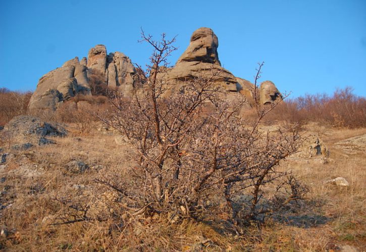 自己从土里挖出来的文物怎么办?