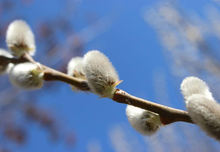 圣经洪水灭世是什么年代