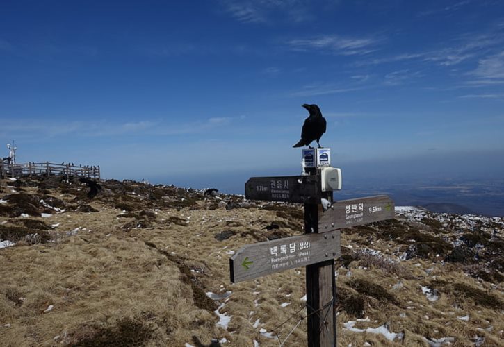 故宫屋檐上的11个神兽