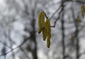 曹魏曹芳 曹芳是明君还是昏君