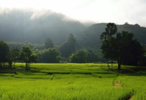 什么叫泰山石敢当 泰山石敢当石头