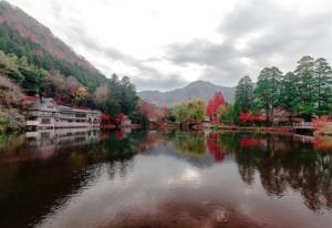 饥荒三年是哪三年 三年大饥荒哪里最严重