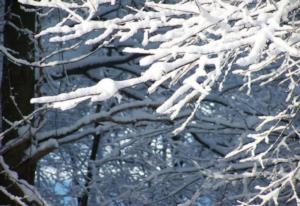 牧野之战在几几年 牧野之战时间的确定