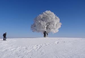 宋朝蒙古人 南宋有机会赢蒙古吗