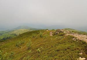 明朝割地 明朝割让过哪些土地