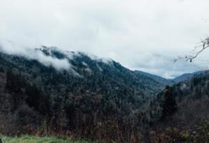 岳飞谋反铁证如山 1141年岳飞