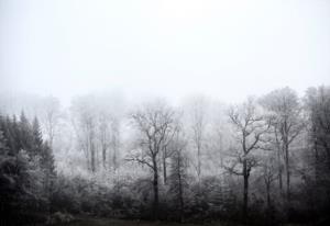 曹雪芹爷爷曹寅 康熙乳母和曹雪芹什么关系