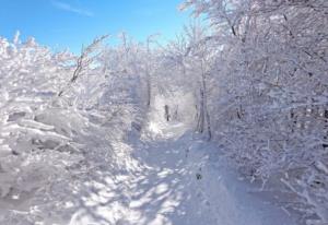 敦煌莫高窟历史背景 莫高窟文化